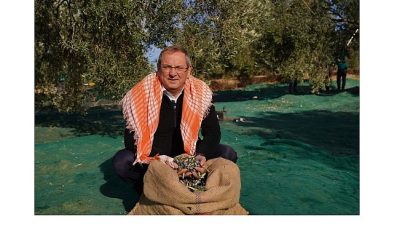 Mesut Ergin: “Dünya Zeytin Ağacı Günü Kutlu Olsun”