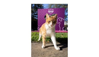 Shane Larkin’den “Gör Beni” Projesi’ne İlham Veren Destek: